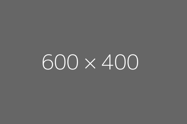 dummy gray 600 400